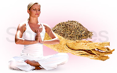 How to Deal with High Progesterone Levels