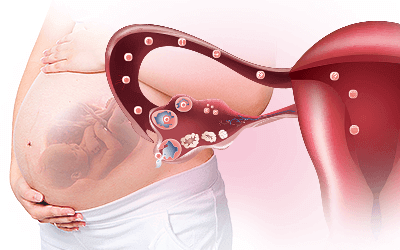 What Does Progesterone Do?