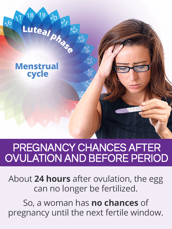 Pregnancy Chances after Ovulation and Before Period