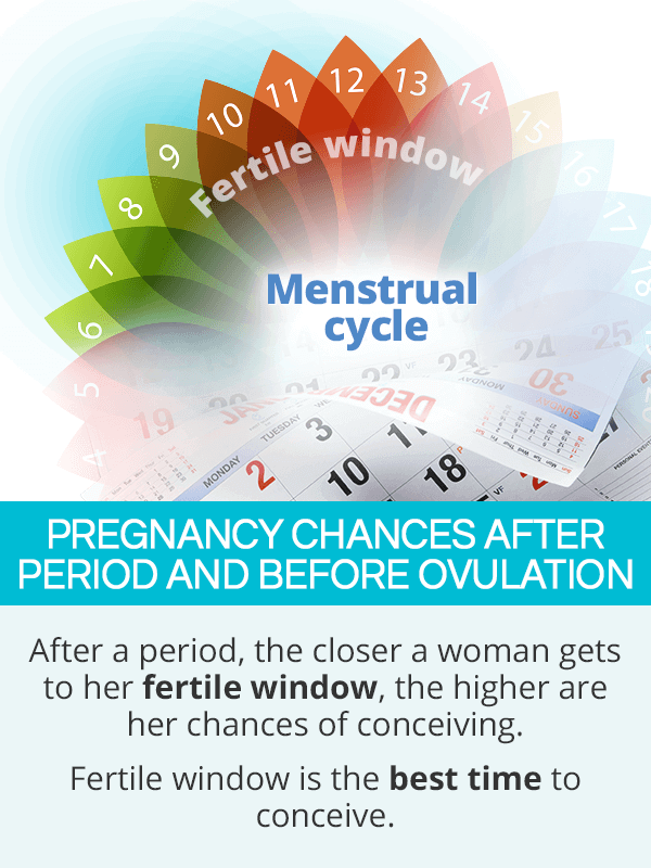 Pregnancy Chances after Period and Before Ovulation