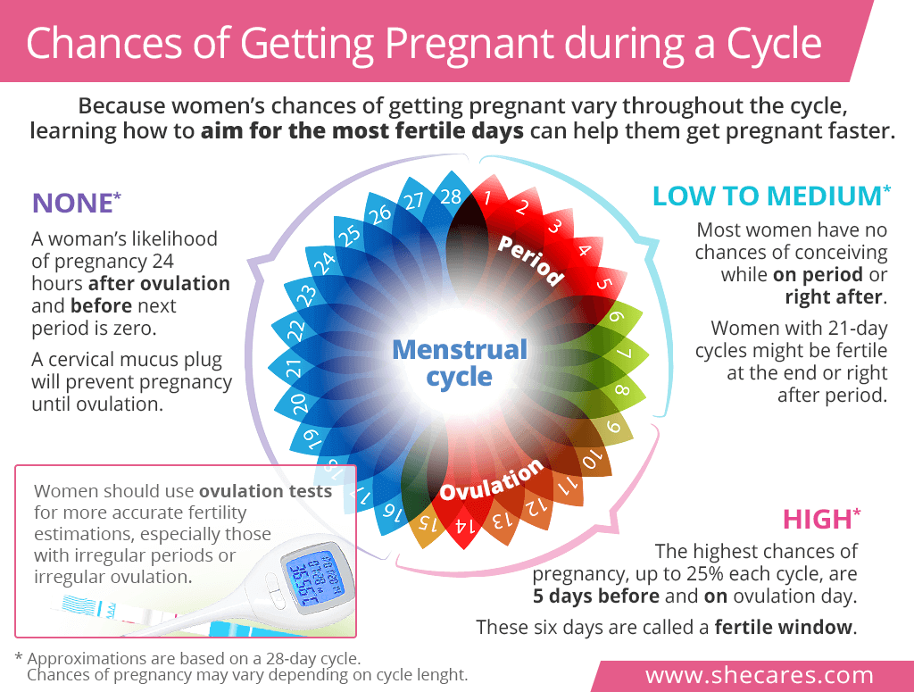 Ovulation 24 Day Menstrual Cycle 