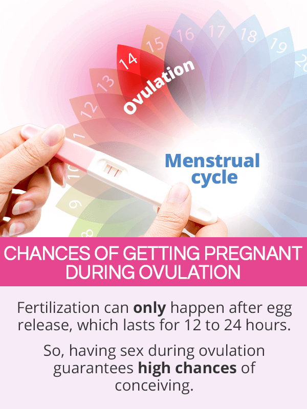 Pregnancy Chances during Ovulation