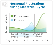 Hormonal Fluctuations during Menstrual Cycle