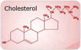 Fat, Testosterone, and the Menopausal Woman