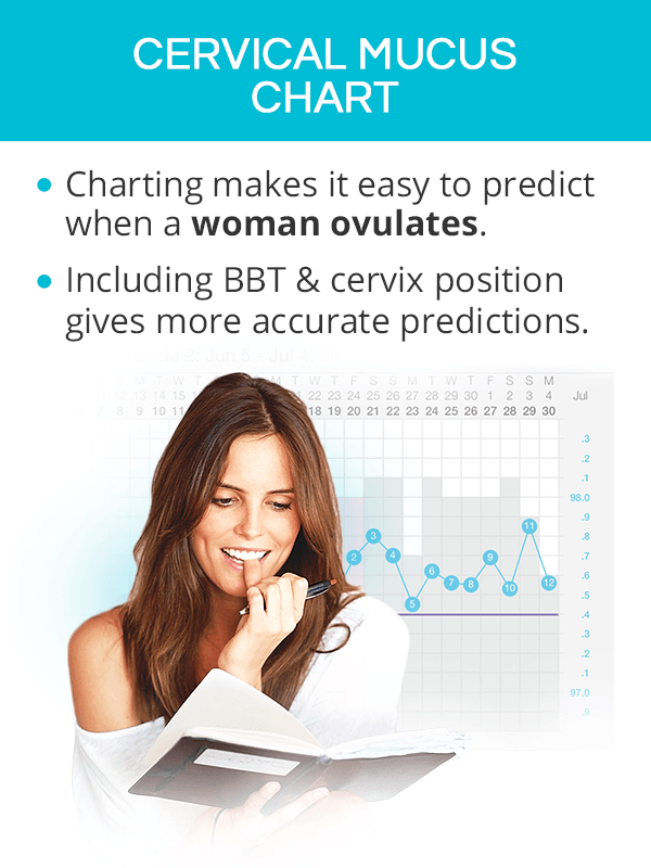 cervical mucus chart