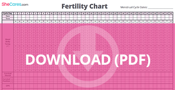 Download fertility chart pdf