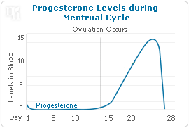 Progesterone levels during menstrual cycle