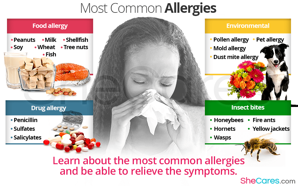 Most Common Allergies: Symptoms and Solutions | SheCares