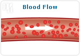 Blood flow