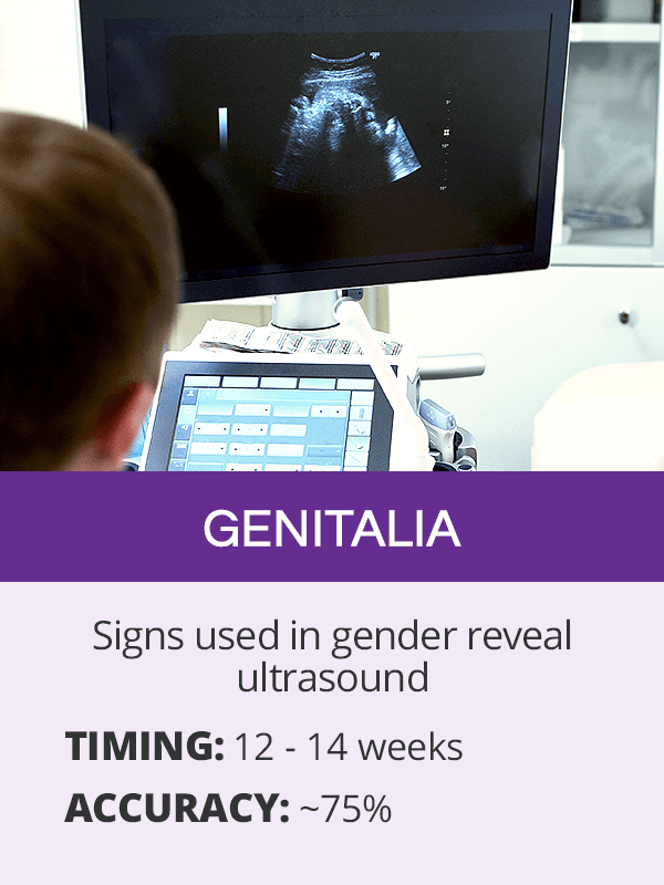 genitalia for gender reveal
