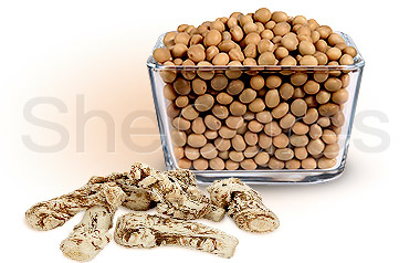 3 Alternatives to Progesterone Treatment during Menopause