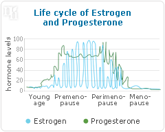 Life cycle of estrogen and progesterone