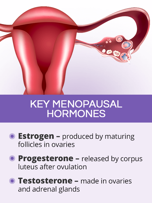 Key menopausal hormones