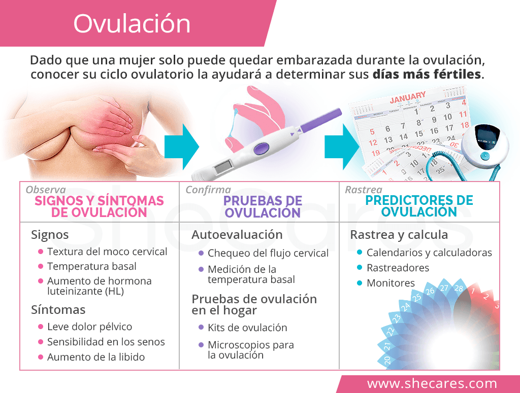 Ovulación