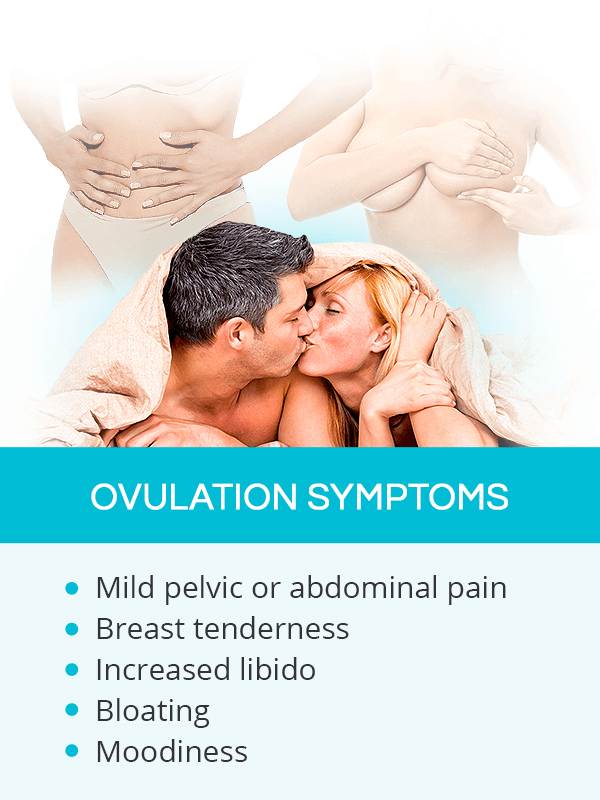 Ovulation Signs And Symptoms Shecares