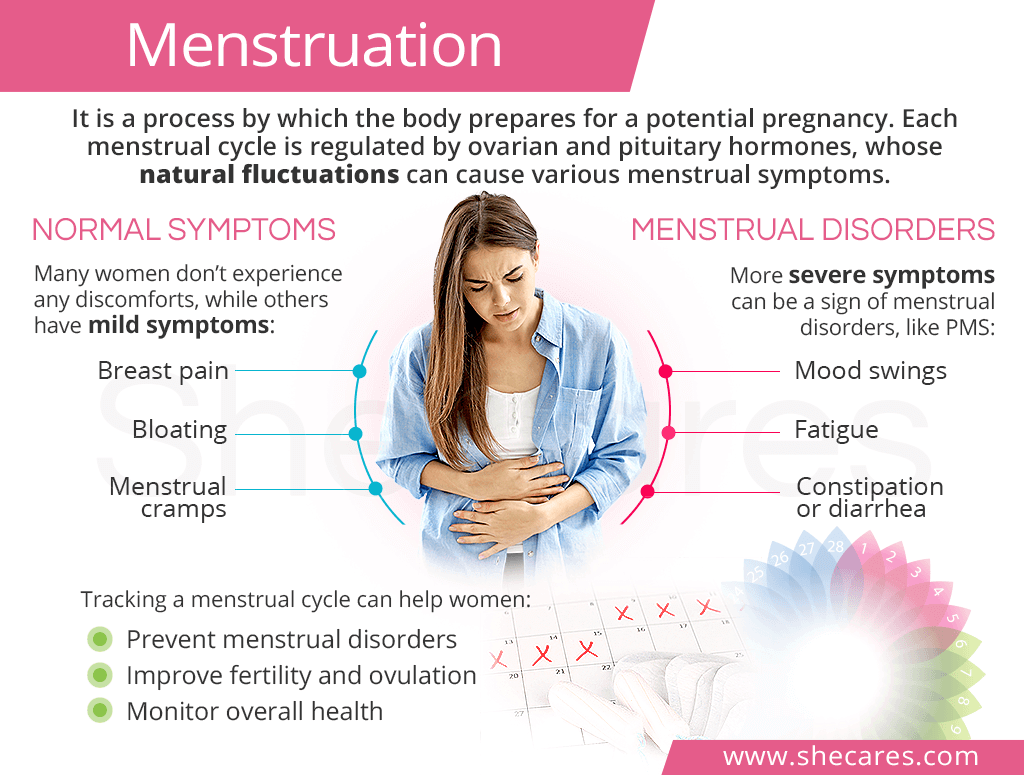 Etapa menstrual