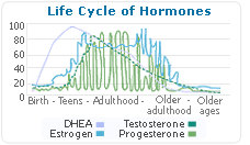 natural hormones life cycle