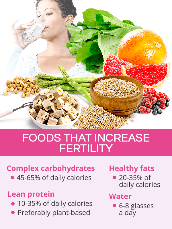 Fertility Diet SheCares fertility-diet-shecares