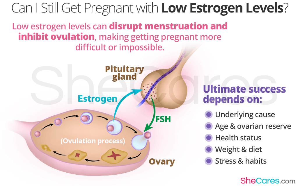 Can I Still Get Pregnant With Low Estrogen Levels?