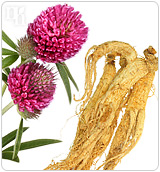 Herbs like red clover or ginseng introduce plant-like estrogen into the body