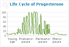 Life cycle of progesterone