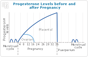 Progesterone levels before and after pregnancy
