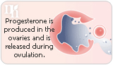 Progesterone During Menopause: What You Need to Know