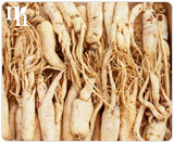 Ginseng contains compounds that are very similar to estrogen on a molecular level