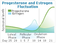 Progesterone Therapy