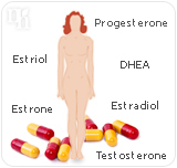 BRHT can include estrone, estradiol, progesterone, testosterone, DHEA, and estriol