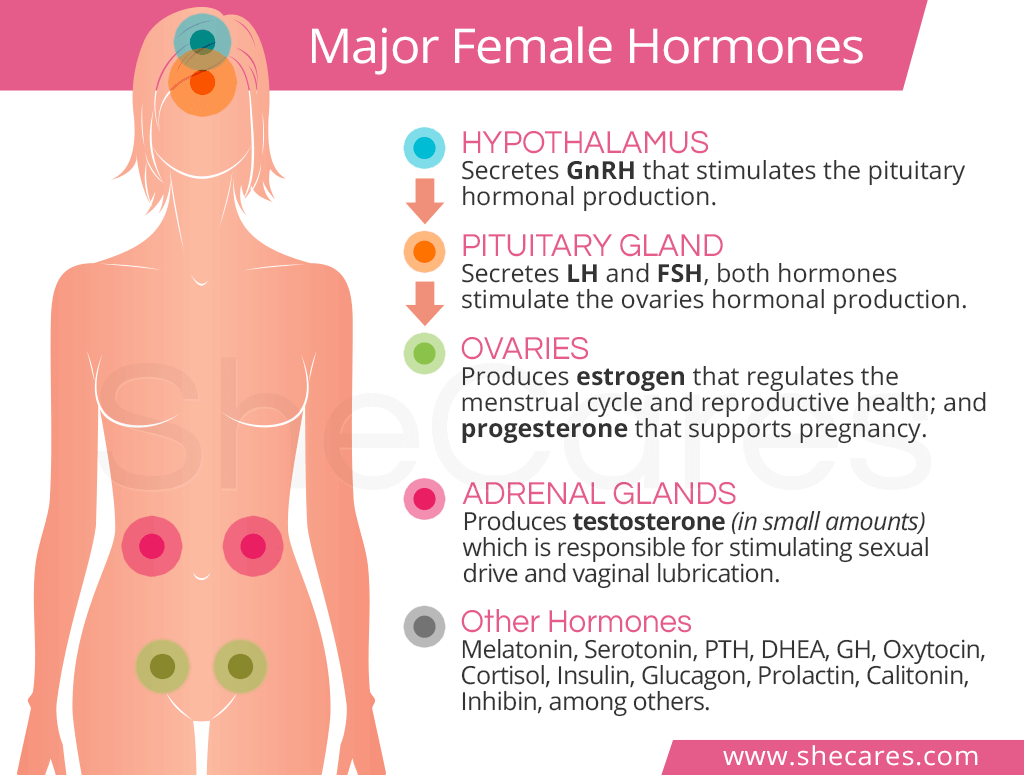 Female Sexual Hormone 69