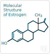 estrogen molecule