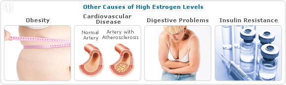 Other causes of high estrogen levels.
