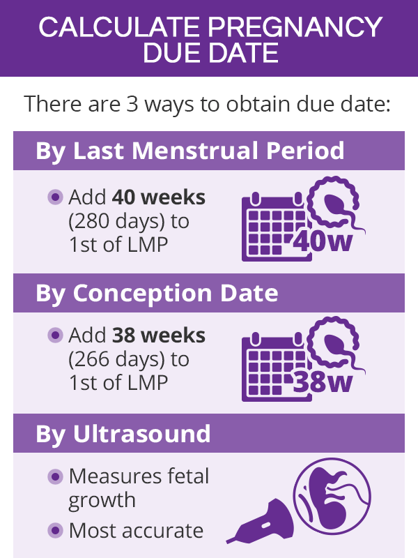Ostrie Tvrd Prste Votrelec Pregnancy Calculator By Ovulation Day
