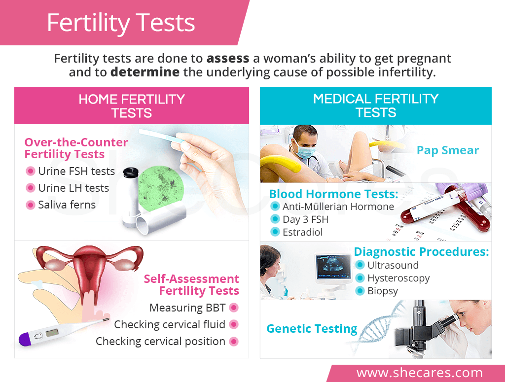 fertility-tests-shecares