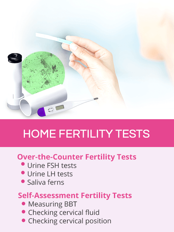 Home fertility tests