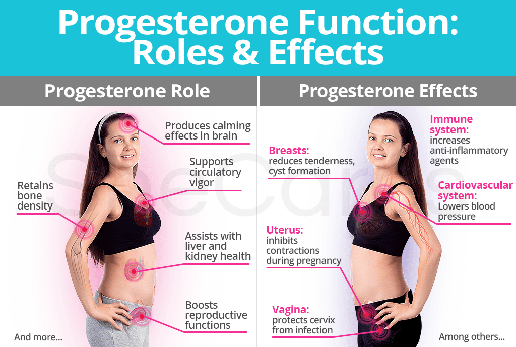 Progesterone Roles and Effects