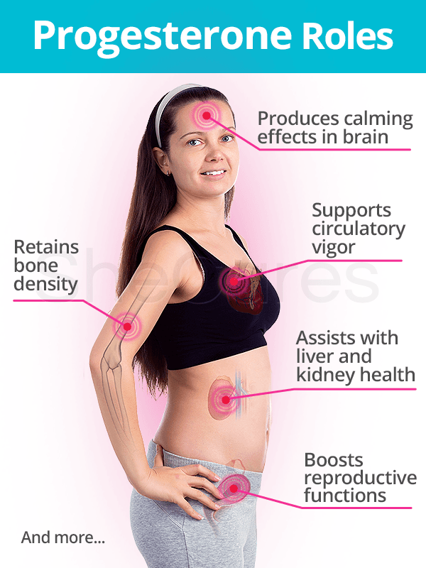 Progesterone roles