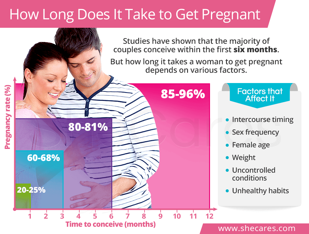 How Long Does It Take To Get Pregnant Shecares 