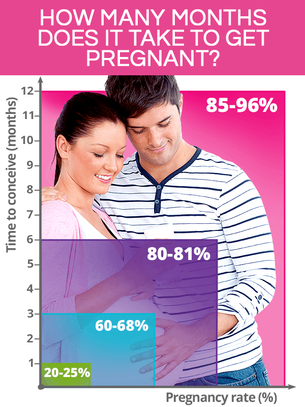 How Long Does It Take to Get Pregnant? The Average Time to Get