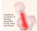 progesterone heartburn