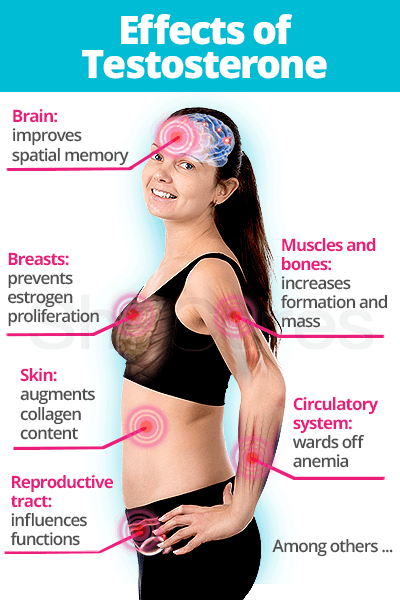 Effects of testosterone
