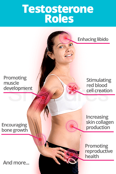 Testosterone roles