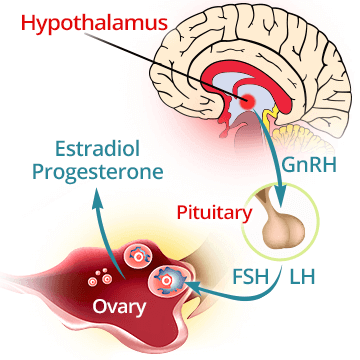 Causes of ovulation problems