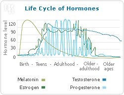 Life cycle of hormones
