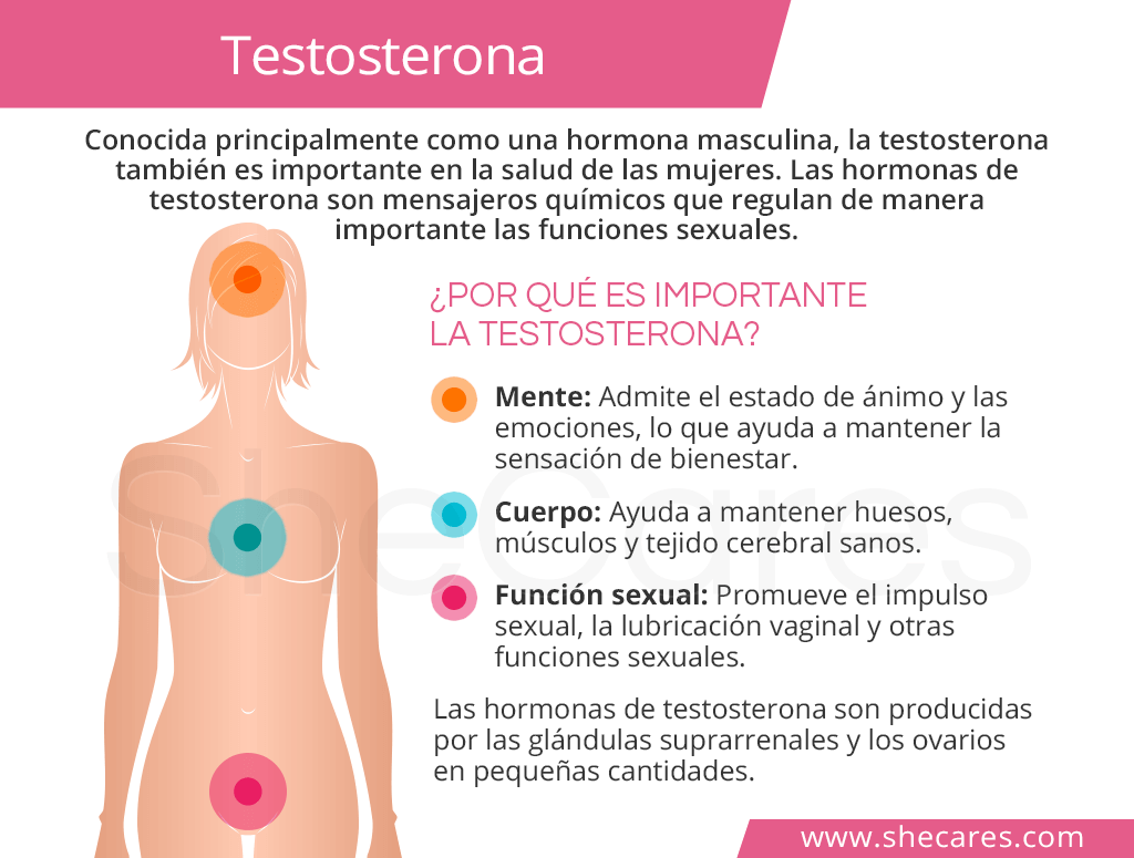 Testosterona