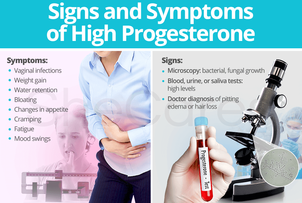 Signs And Symptoms Of High Progesterone SheCares
