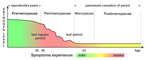 menopause stages