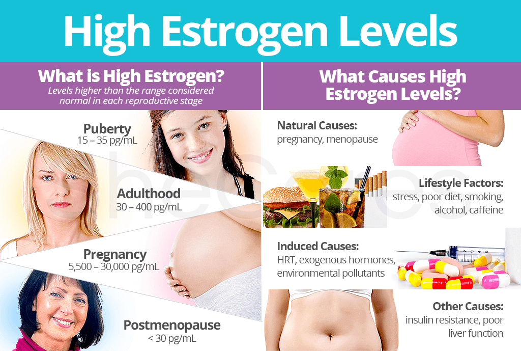 High Estrogen Levels About And Causes Shecares