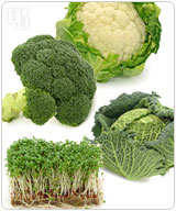 Broccoli, cauliflower, and cabbage are foods rich in indoles